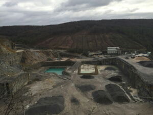 Bereits durchgeführte Wald-Rodung in Thüngersheim, Foto: Keinhamehr